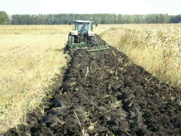 黑龙江农垦五九七农场盐碱地开发应用禾康土壤调理剂