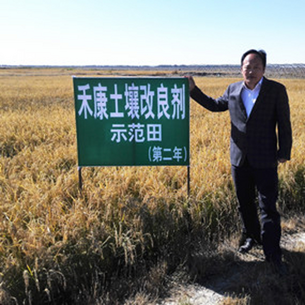 盐碱地莳植水稻昔时取得乐成—2014年吉林省镇赉县电视台新闻报道