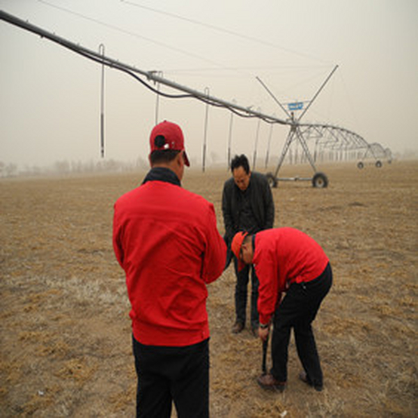 2012年内蒙古盐碱地改良