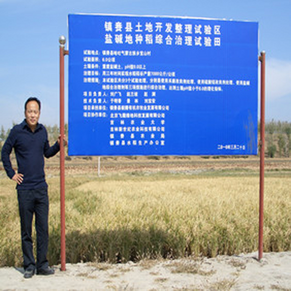 2010年吉林盐碱地改良种稻树模