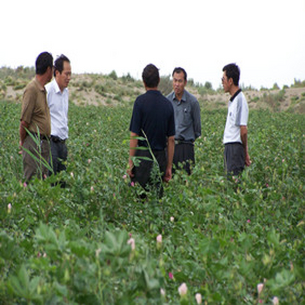 2006年11月，与新疆新和县水利局告竣盐碱土壤改良剂供货协议