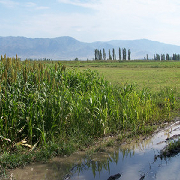 2009年3月，与新疆拜城县水利局水管总站告竣供货协议