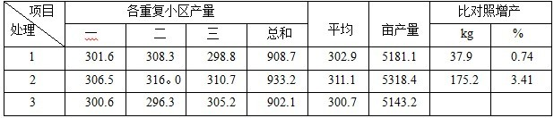 盐碱地莳植加工番茄施用禾康试验（新疆昌吉，番茄）(图2)