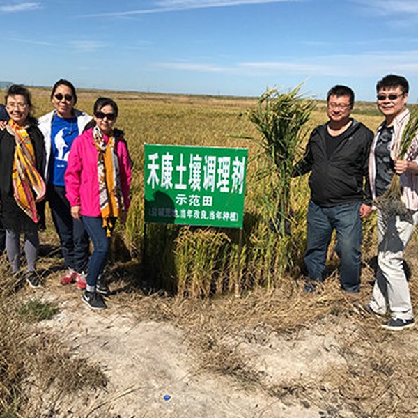 盐碱地改良为什么不再是天下难题？