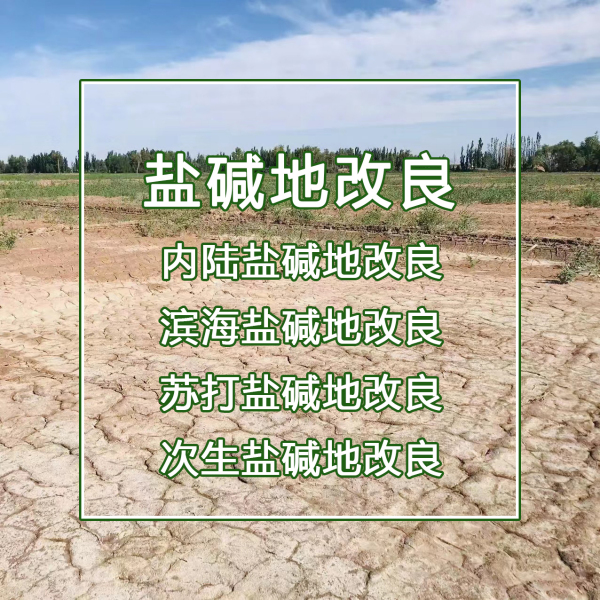 盐碱地治理要领