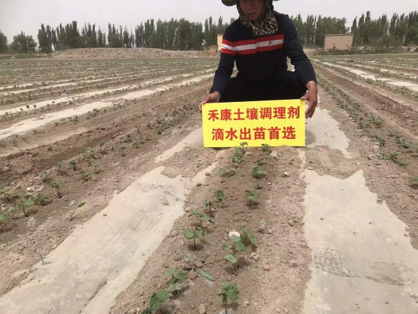 使用禾康改良盐碱地亩用量是几多？需不需要测土？