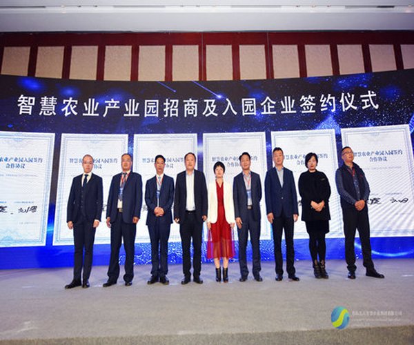 盐碱地改良手艺应用-公司应邀加入2019年轻岛海水稻聚会