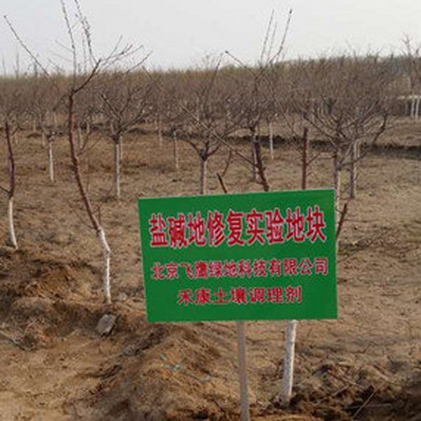 天津园林绿化盐碱地植树应用禾康土壤调理剂 I