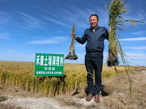 盐碱地改良手艺乐成的评价标准是什么？