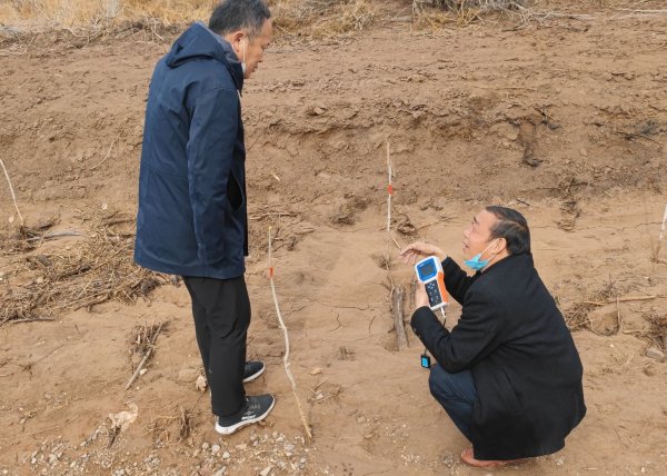 新疆柯坪阿恰镇，一连两年植树都没有乐成。现在使用禾康土壤调理剂已经将树穴周围的含盐量由8-12降到0.8-1.8，正常治理，树苗绝大部分可以成活！