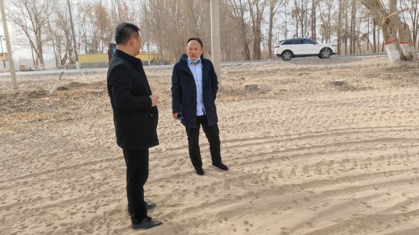 新疆阿拉尔十团低产棉田改良后妄想栽植金银花。