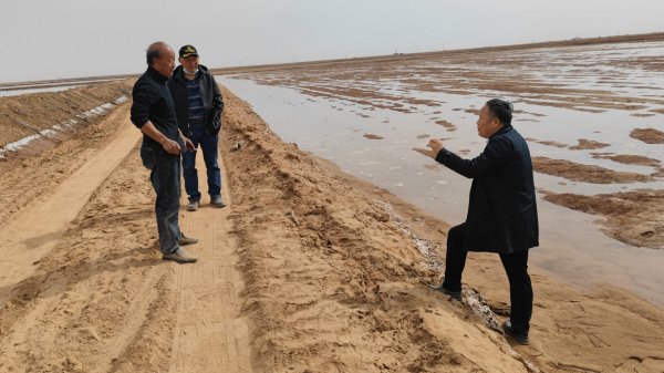 新疆阿拉尔市拓荒地，一连灌四次水，大部分地方盐分降到可以出苗的水平，但盐分依然偏高，避免雨后死苗及僵苗。