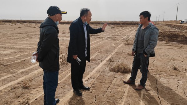 盐碱地在新疆阿拉尔，2021年种棉花绝收，后面一连浇4次水，现在盐分不高，出苗问题不大，主要是避免后期僵苗。