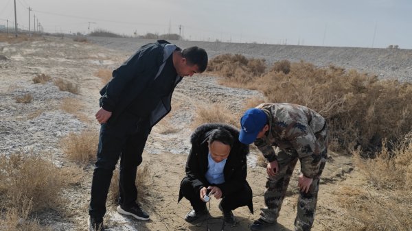 重度盐碱地整理后待改良，土壤盐分爆表，必需重视降盐，而不是降低PH。