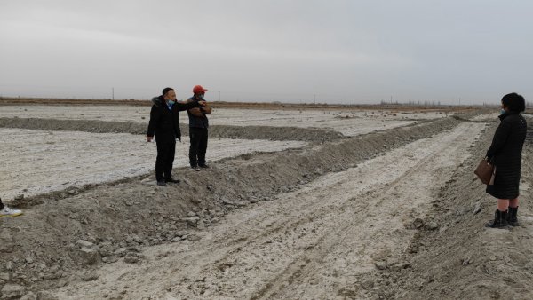 重度盐碱地要接纳洪流漫灌配合使用禾康土壤调理剂来迅速降盐碱，将重度盐碱地改良为中度盐碱地，再接纳干播湿出配合滴施禾康土壤调理剂来排盐出苗。仅洪流漫灌后就直接莳植棉花危害极高。