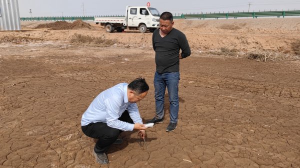 盐碱荒地改良、盐碱地绿化我们都有成熟的盐碱改良计划。